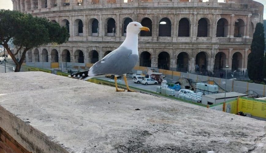 Climate forecasts Rome,Italy 🌤️