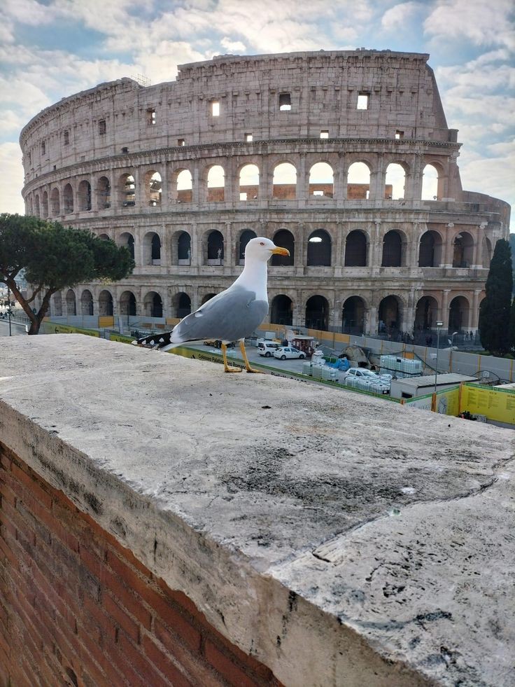 Climate Forecasts Rome